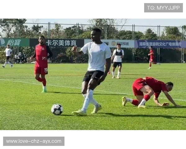 斯坦丘回归大连英博，领衔中场参与全队战术整体演练