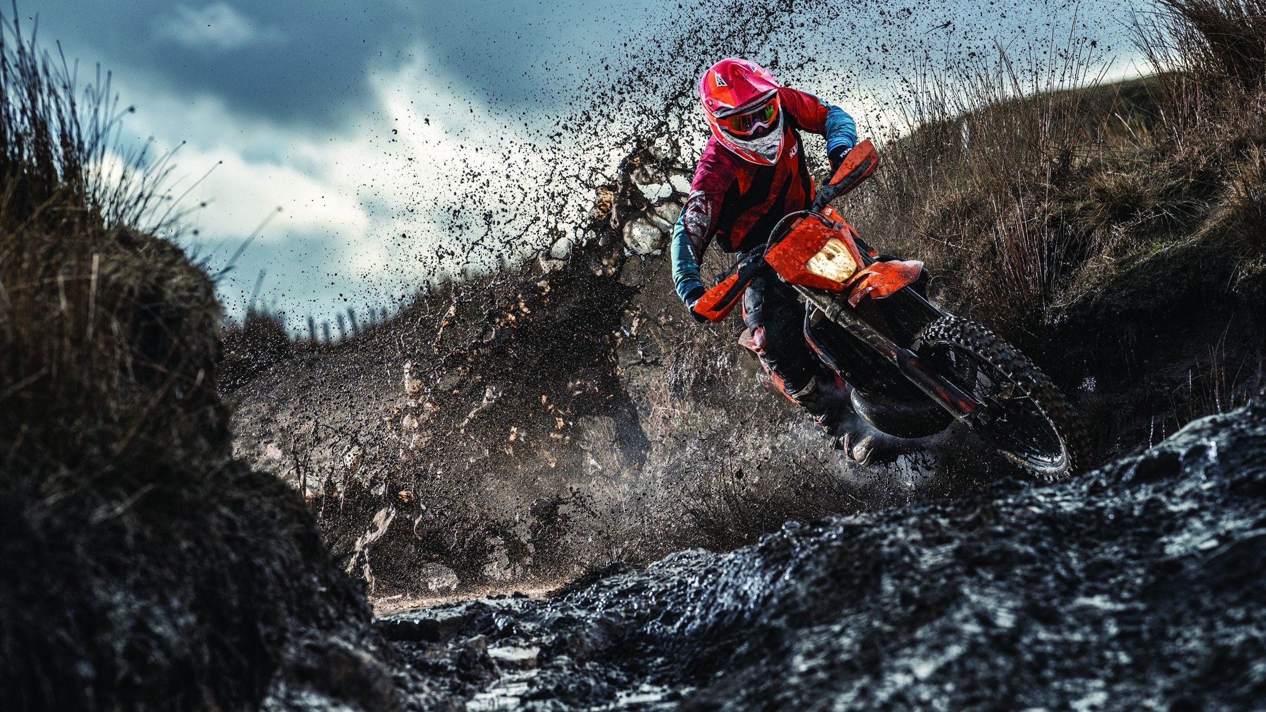 TES完成国际电竞赛事心理辅导项目试点,电竞心理学培训